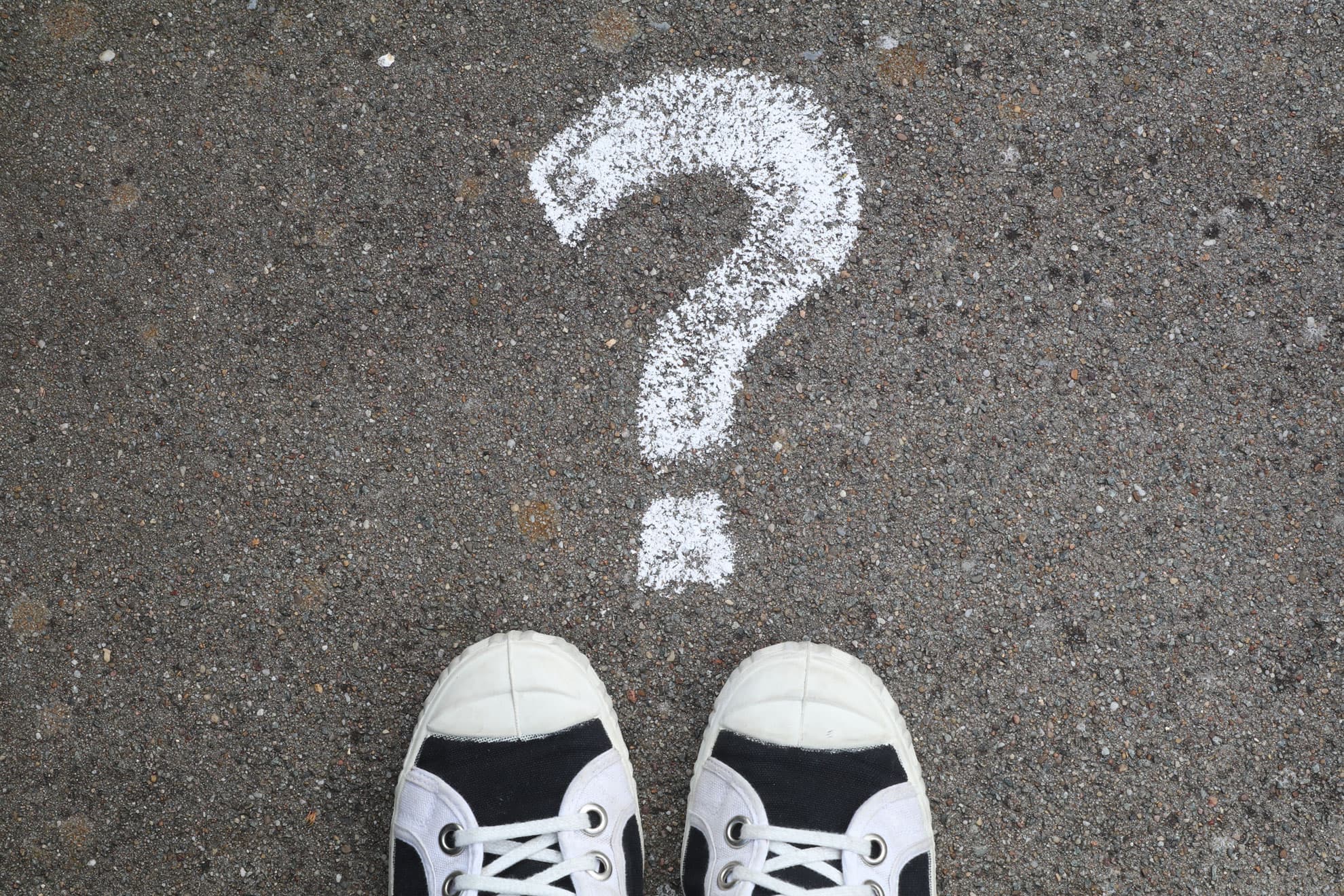 Should You Focus on JavaScript or WordPress?